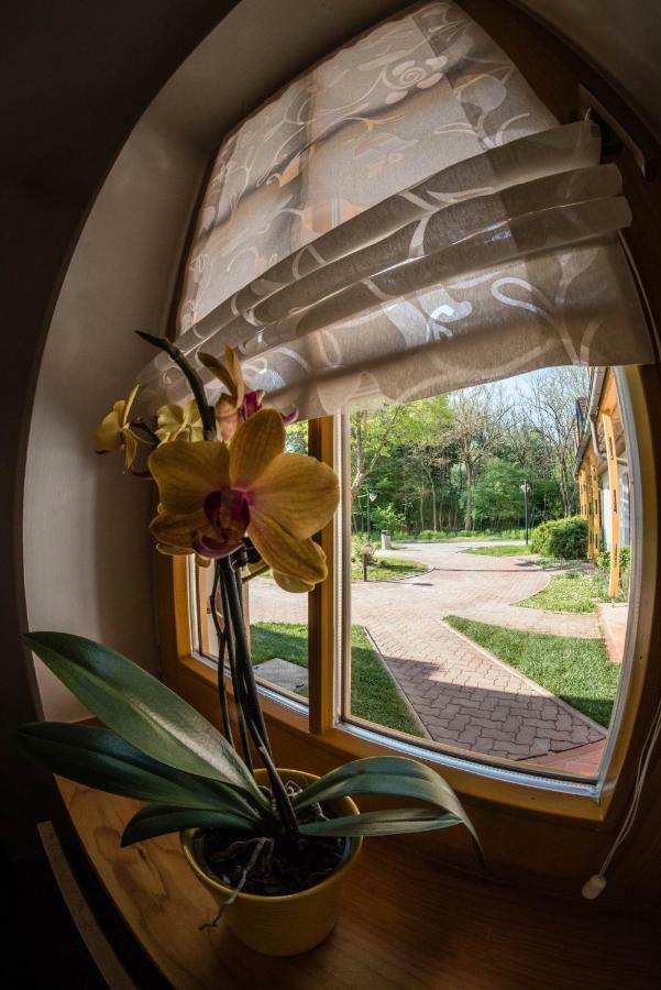 Apartma Marjetica 2 Moravske Toplice Esterno foto