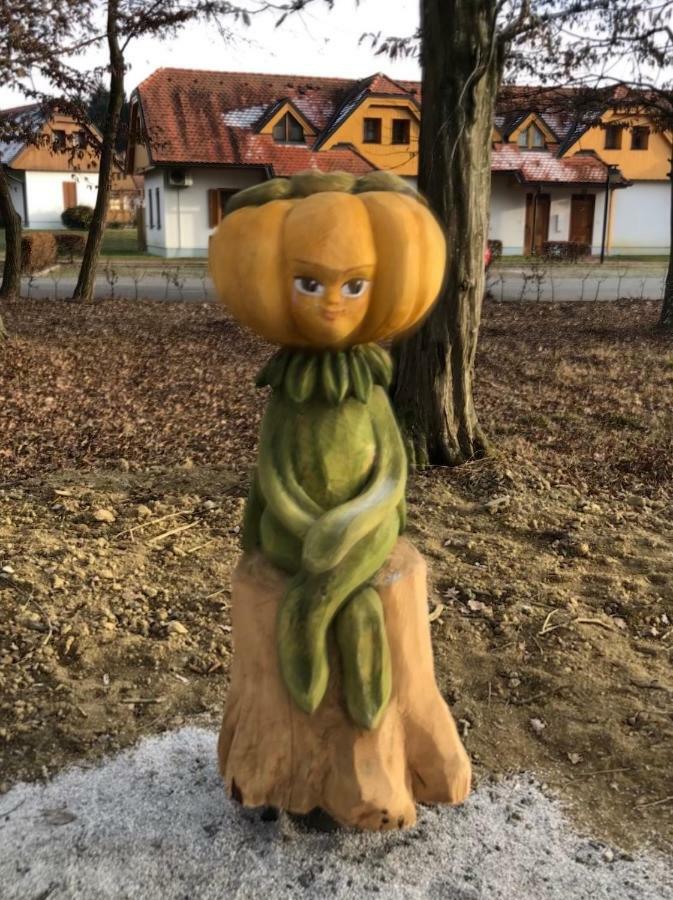 Apartma Marjetica 2 Moravske Toplice Esterno foto